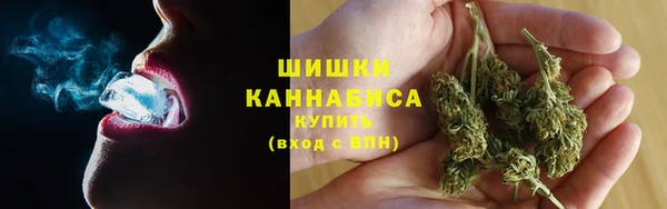 не бодяженный Горно-Алтайск