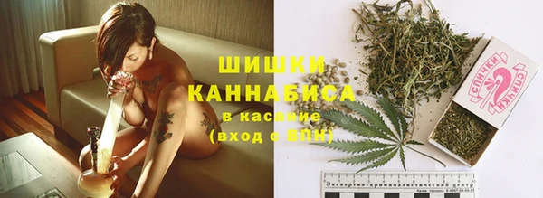 эйфоретик Горнозаводск