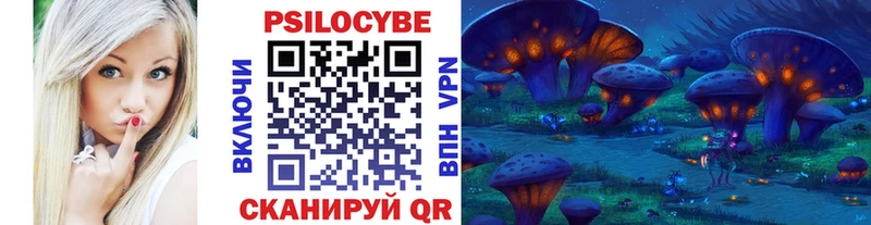 Купить  Кизилюрт  Псилоцибиновые грибы Psilocybe 
